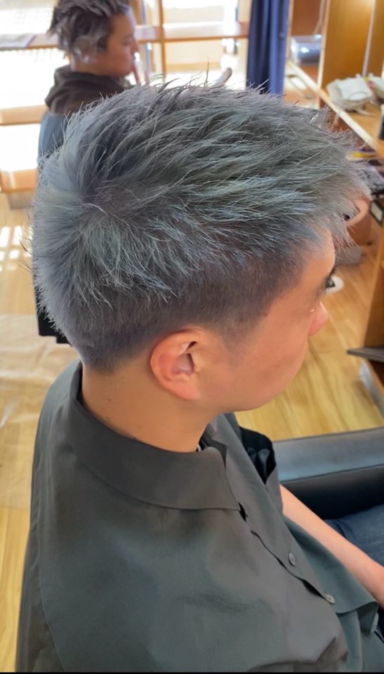 シルバーヘアー(たいじゅ)