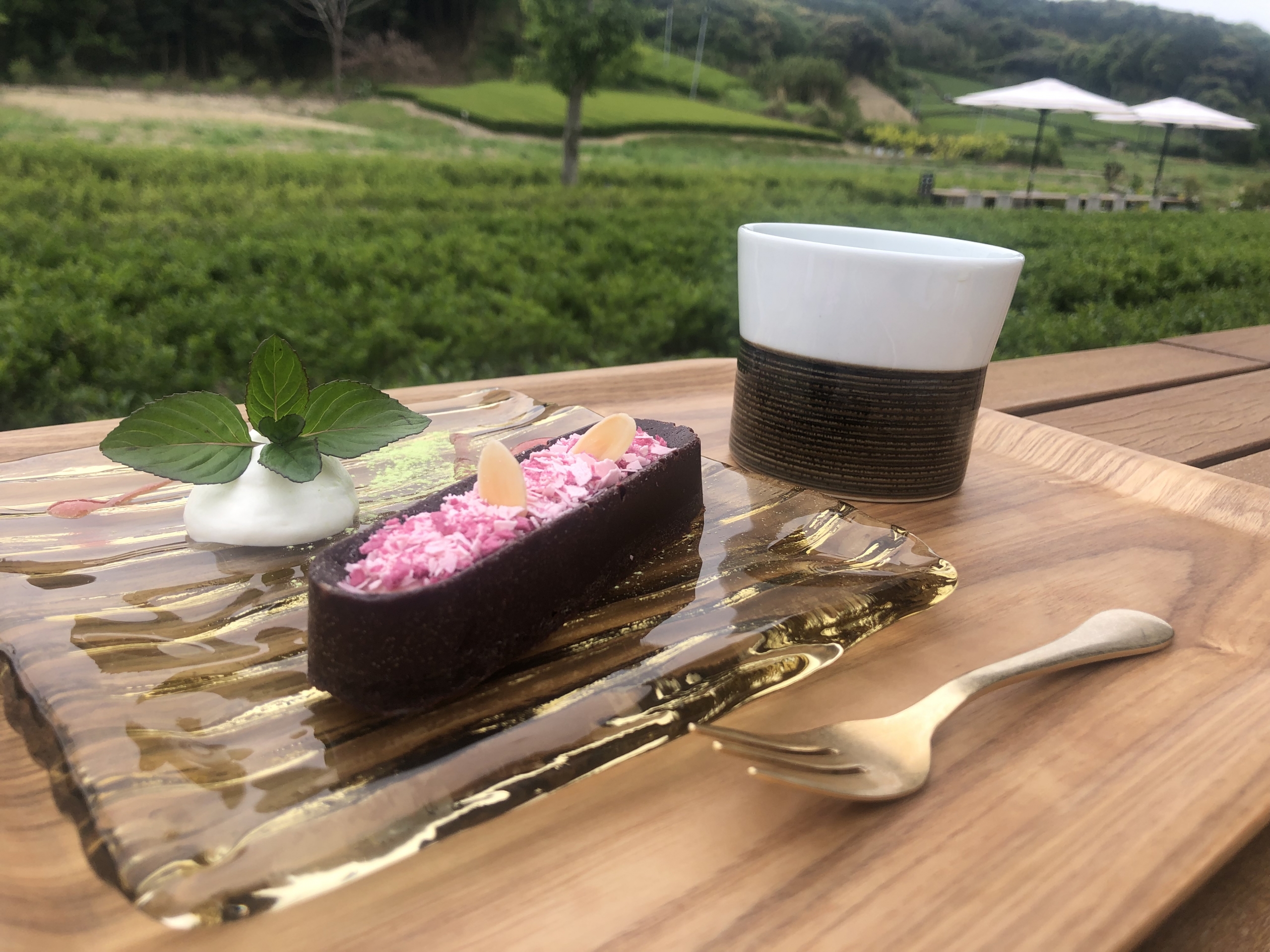 掛川に♪(マイケル)