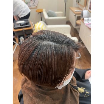 ハイライト無しの脱白髪染め (山下翔)