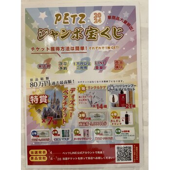 PETZ ジャンボ宝くじ 2024！【コウタ】