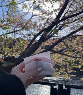 河津桜（りょーま）