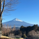 富士山が綺麗なんだなー［ロイヤル］