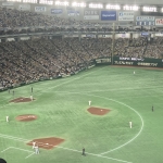 GWは野球観戦♪(マイケル)