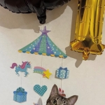 ちる君一歳になりました🐈‍⬛（ゆうま）