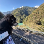 夢の吊り橋(haruna)