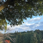 久しぶりのゴルフへ［ロイヤル］