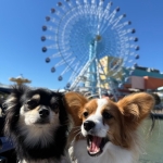 マルシェ(haruna)