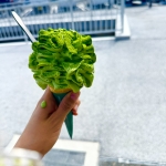 【本店⭐︎増田】抹茶ソフトクリーム