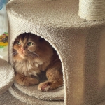 【本店⭐︎増田】冬の一休